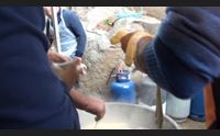pattada 4 giornate alla scoperta di un identit da conoscere e custodire