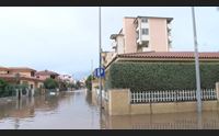 olbia rimandato il piano mancini nizzi via i rischi dalla citt