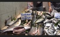 natale a tavola carne o pesce come da tradizione scegliamo sardo