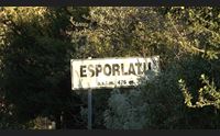 esporlatu spari contro le telecamere di videosorveglianza