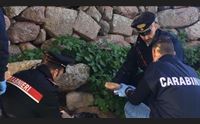 alghero nel muretto a secco 11 chili di eroina valore 2 milioni di euro