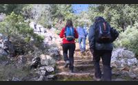 ulassai la colonia di pipistrelli pi grande d italia riposa nella grotta di su marmuri