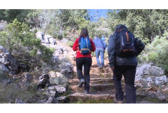 Pipistrello Più Grande Ulassai La Colonia Di Pipistrelli Piu Grande D Italia Riposa A