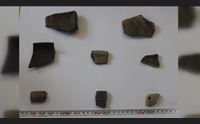 cagliari reperti archeologici tra i bagagli sequestrati in aeroporto