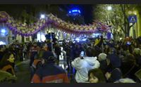 arriva il capodanno cinese a cagliari ecco l anno del maiale