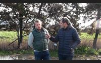 badesi campagne distrutte dall acqua agricoltori in ginocchio