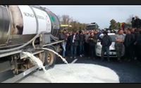 macomer protesta allevatori
