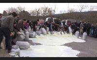 guerra del latte la protesta dilaga in tutta l isola non ci fermiamo