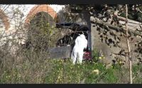 oristano giallo a torre grande donna di 57 anni trovata morta in casa