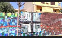 (pinna) assemini murales