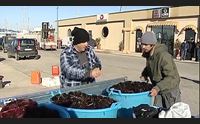 rosso di mare patto tra ristoratori e pescatori