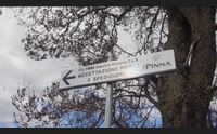 orune assaltato armato ad autocisterna era diretta dai pinna a thiesi