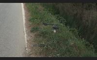 tragedia a siniscola 18enne travolto e ucciso da un auto