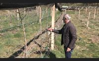 lavorare in barbagia la montagna cerca giovani frutticoltori