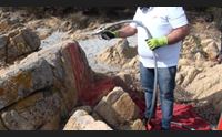 ripuliti gli scogli imbrattati dai vandali a orosei telecamere anche in spiaggia
