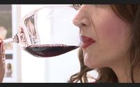 vinitaly nuovi record per l isola sardo il miglior rosso d italia