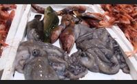 assoittica tanti controlli sulla filiera il nostro pesce sano
