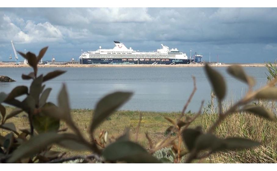 Porto Torres Il Ritorno Dei Giganti Del Mare Crociere Promettenti Videolina