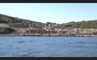 cabras in viaggio sulla nave punica visore 3d per scoprire tharros