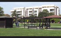 cagliari allarme ragno violino nel parco della vetreria di pirri