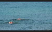 sassari via libera ai nudisti nella spiaggia di porto ferro