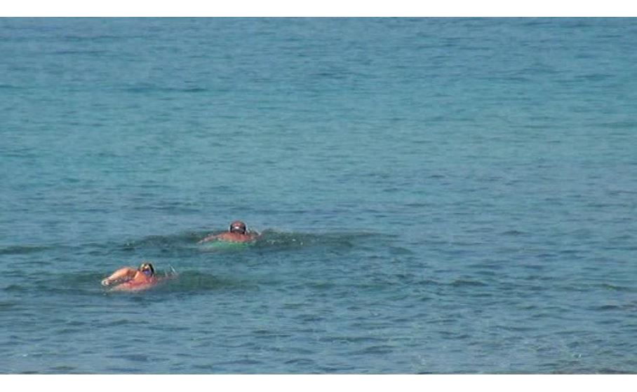 nero nudisti immagini