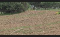 torp diga piena per bassa gallura e baronia estate senza restrizioni