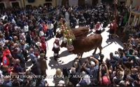 preparazione per l uscita del cocchio di sant efisio