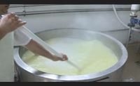latte arriva un nuovo vertice a onifai prezzo a 1 euro realt da 4 anni
