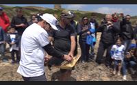 spiagge da pulire nel sinis volontari in azione la plastica ovunque