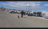 alghero il centrodestra si ricompatta il candidato mario conoci