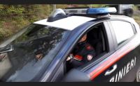 ruinas due colpi a testa per gli allevatori uccisi a cagliari le autopsie