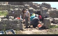cabras dagli usa per scavare nel sinis studiamo tharros con pompei