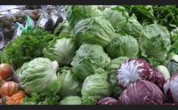 sicurezza alimentare in sardegna progetto unico in italia per pomodoro da sugo