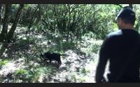 a nurallao annata d oro per il tartufo domani la sagra