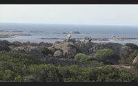 asinara gli obiettivi di 20 fotografi sull asinara
