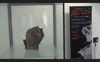 olbia grandi mostre il museo pronto per il grado nazionale