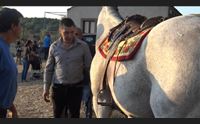 sedilo prove di ardia il 6 luglio per san costantino attese 25 mila persone