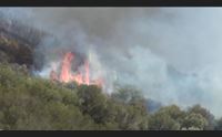 domenica di fuoco nell isola roghi da uta a porto torres