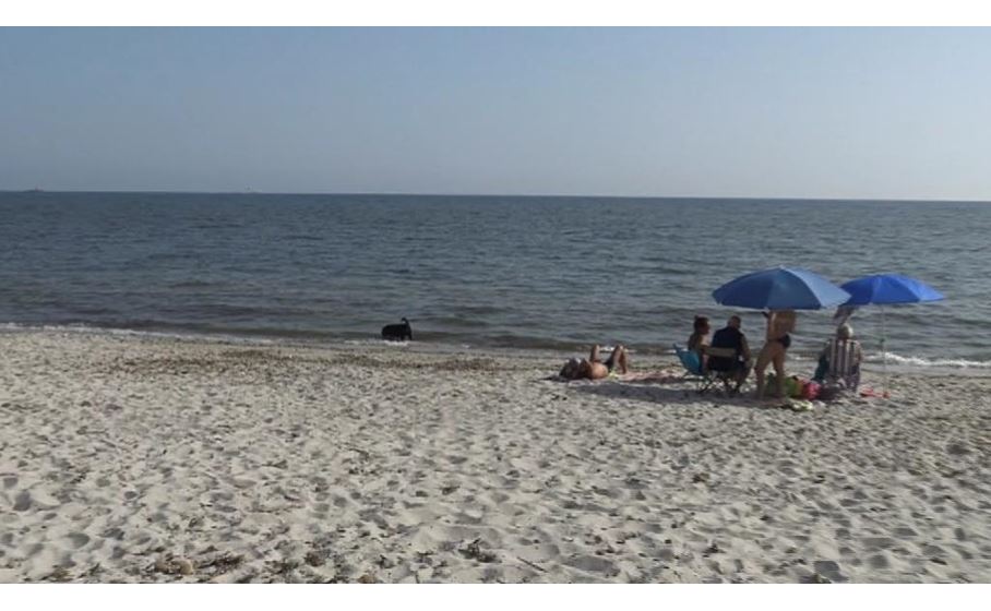 Alghero Spiaggia Per Cani Sabbia Bellissima E Il Mare Un