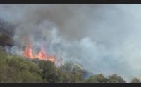 incendi quest anno situazione pi grave in campo gli elicotteri armati