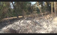 incendi in ogliastra un imprudenza avrebbe causato il disastro