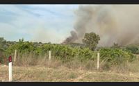 ogliastra ostaggio degli incendi la procura a lanusei apre un inchiesta