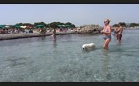tutti al mare con fido nella spiaggia animal friendly di porto pino