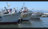 marinerie sarde a fondo troppi vincoli e concorrenza sleale