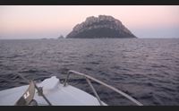 olbia festival una notte in italia a tavolara sbarca il genio da vinci