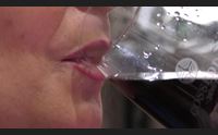 santadi wine blogg festival