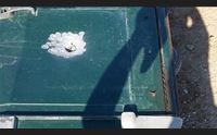 cagliari fucilate tra pescatori motocarro crivellato di colpi