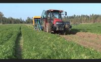 da agea ad argea l allarme di confagricoltura pagamenti a rischio