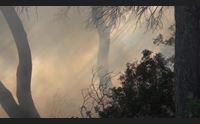 pineta di gonnesa a fuoco paura per i bagnanti di fontanamare